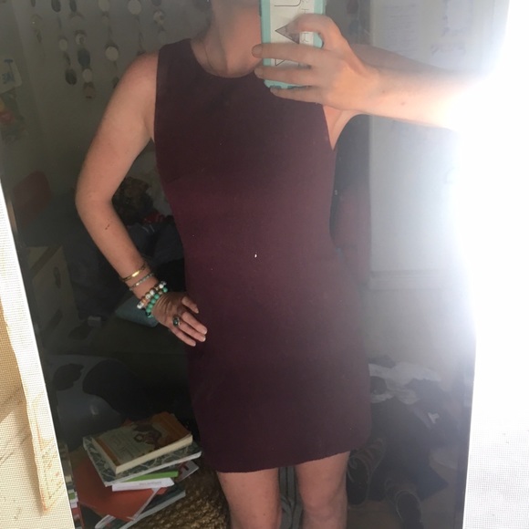 Vintage Maroon Fitted Dress