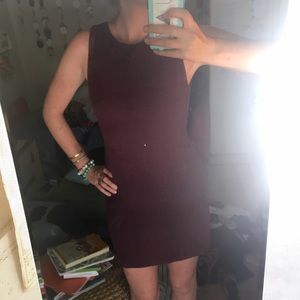 Vintage Maroon Fitted Dress