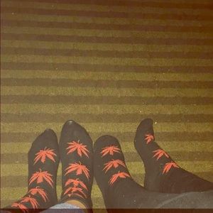 new, bought yesterday