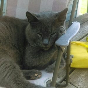 Meet your Posher, Jamie