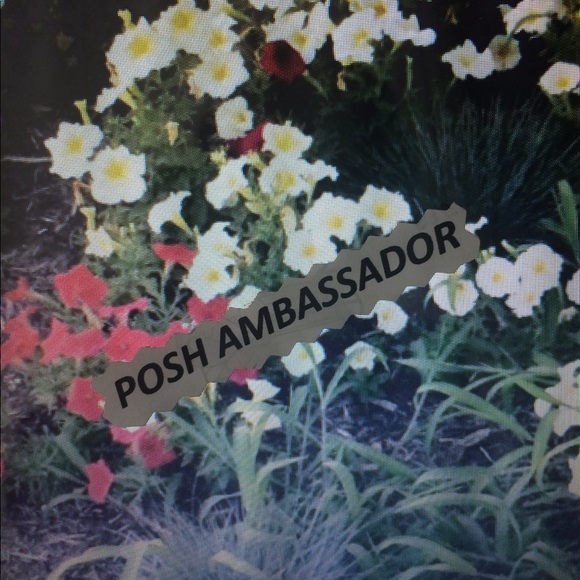 Meet your Posher, Candace - Picture 2 of 2