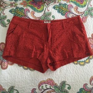 Lace shorts