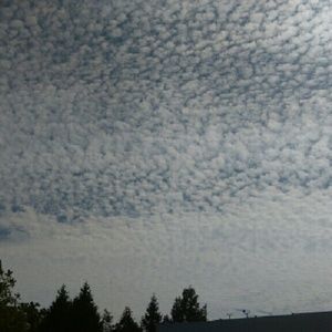 Meet your Posher, Steff