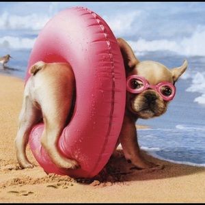 Meet your Posher, Emmaline