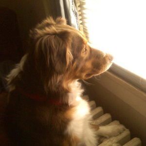 Meet your Posher, Candy