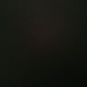 Meet your Posher, Dyshanae