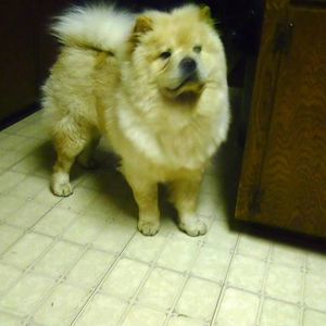 Meet your Posher, Christy