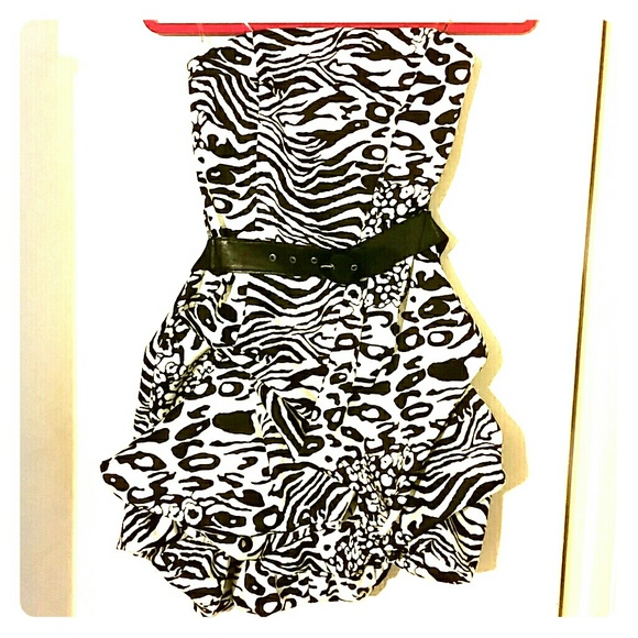 Snap Brand Animal Print Party Dress