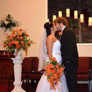 Meet your Posher, Dixie