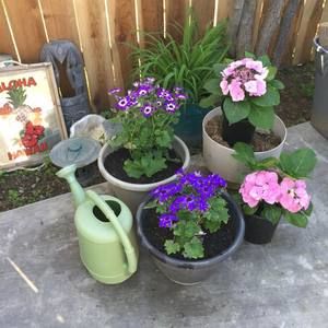 Meet your Posher, Margo