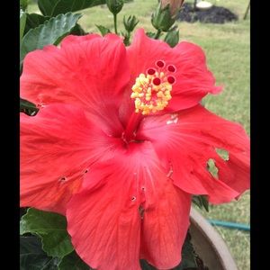 Meet your Posher, Angel