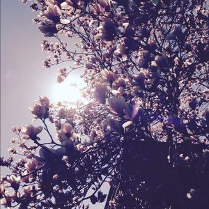 Meet your Posher, Riley