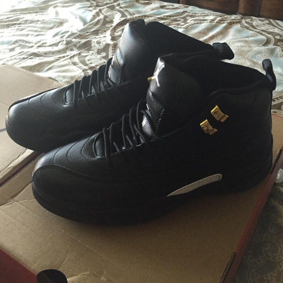 Jordan Retro 12 The Master