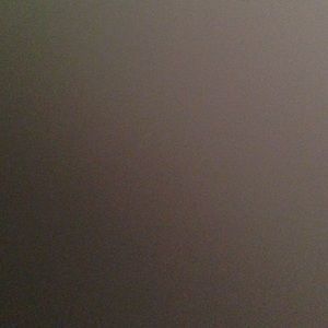 Meet your Posher, Priscilla