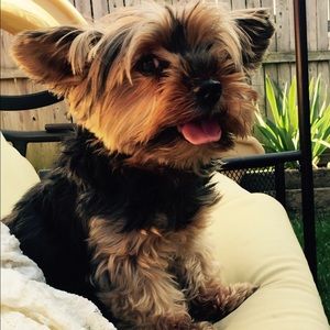 Meet your Posher, Kathy