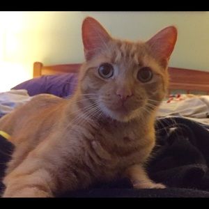 Meet your Posher, Lise