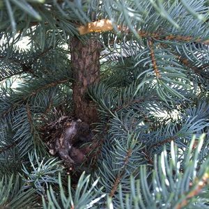 Meet your Posher, Aga