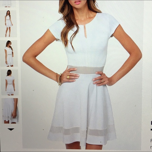 White mesh skater dress