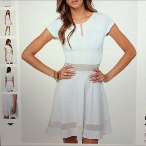 White mesh skater dress