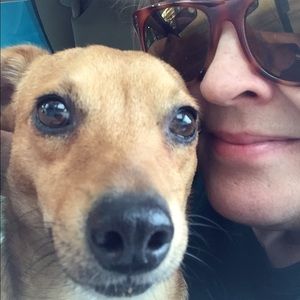 Meet your Posher, Ann