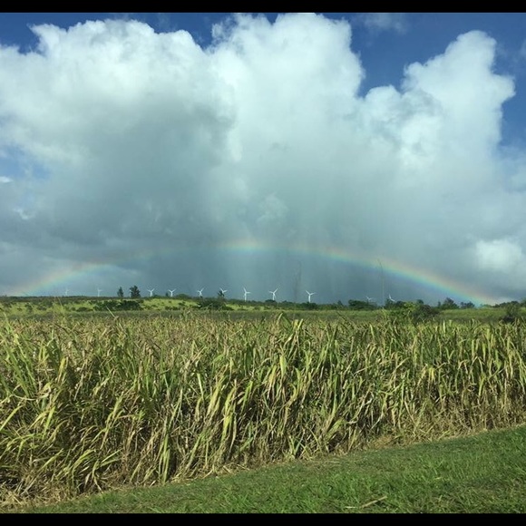 Meet your Poshmarker💕💕 - Picture 5 of 6