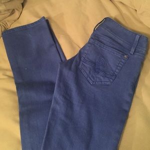 Lily Pulitzer straight leg colored blue jeans