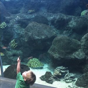 Meet your Posher, Dana