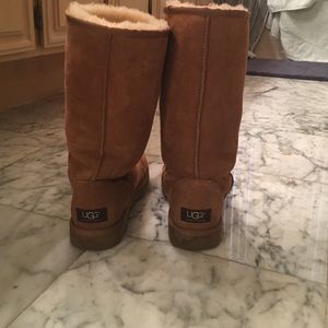 Tall Uggs Authentic