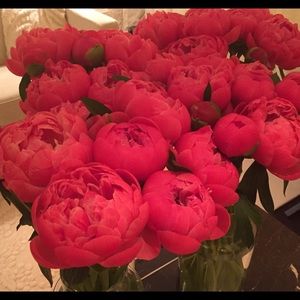 Meet your Posher, Maggie