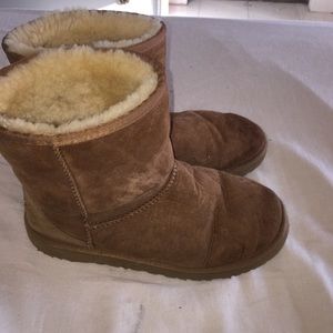 classic tan short UGGs