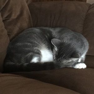 Meet your Posher, Robin