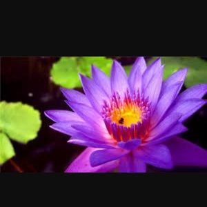 Meet your Posher, Kara