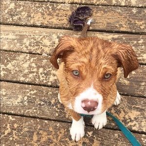 Meet your Posher, Morgan