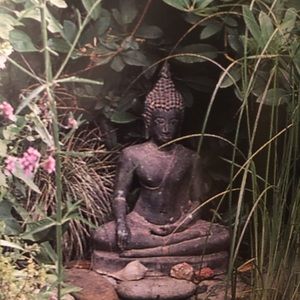 Meet your Posher, Kristy