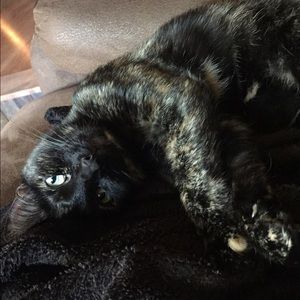 Meet your Posher, Amber