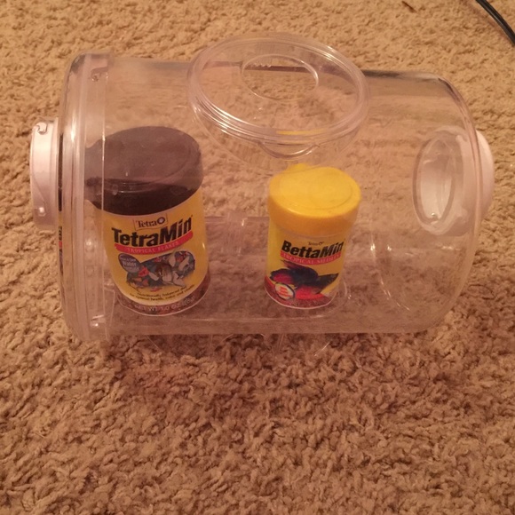 A small beta fish tank