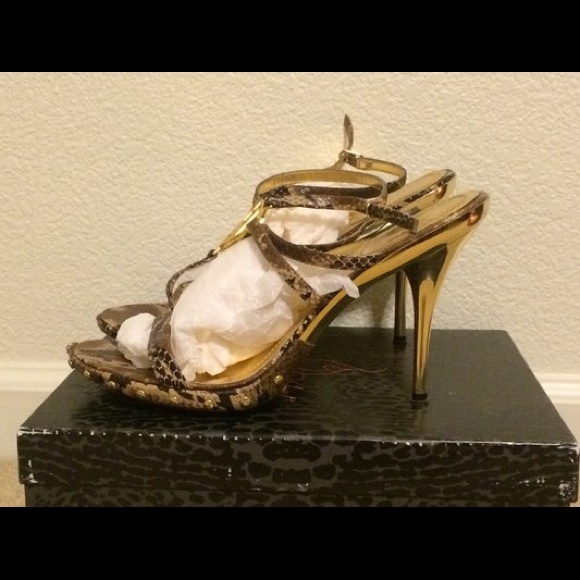 💰Baby Phat (Paola)