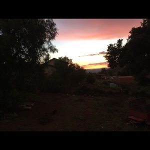 Meet your Posher, Mckenzie