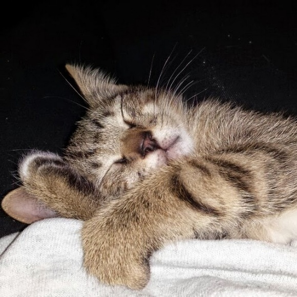 Meet your Posher, Patricia - Picture 1 of 1