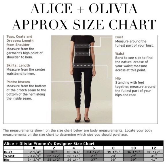 Alice + Olivia Black Woven A-Line Skirt - Picture 5 of 5