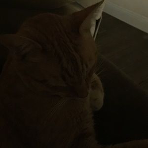 Meet your Posher, Emma