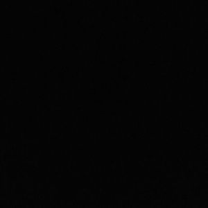 Meet your Posher, Tracey