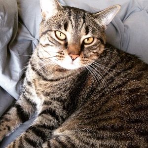 Meet your Posher, Jess