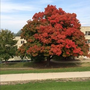 Meet your Posher, Bella