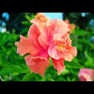 Meet your Posher, Holly