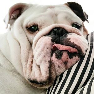 Meet your Posher, Cora