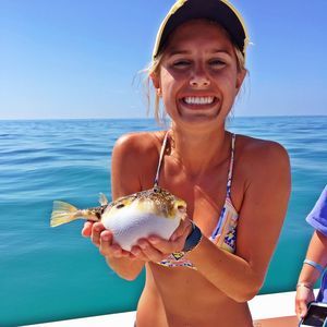 Meet your Posher, Mary