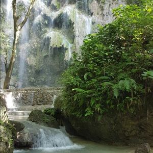 Meet your Posher, Liza