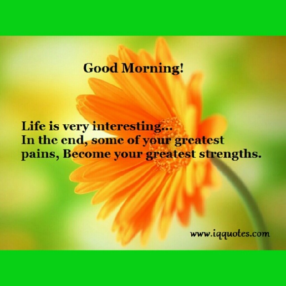 GOOD MORNING WORLD!