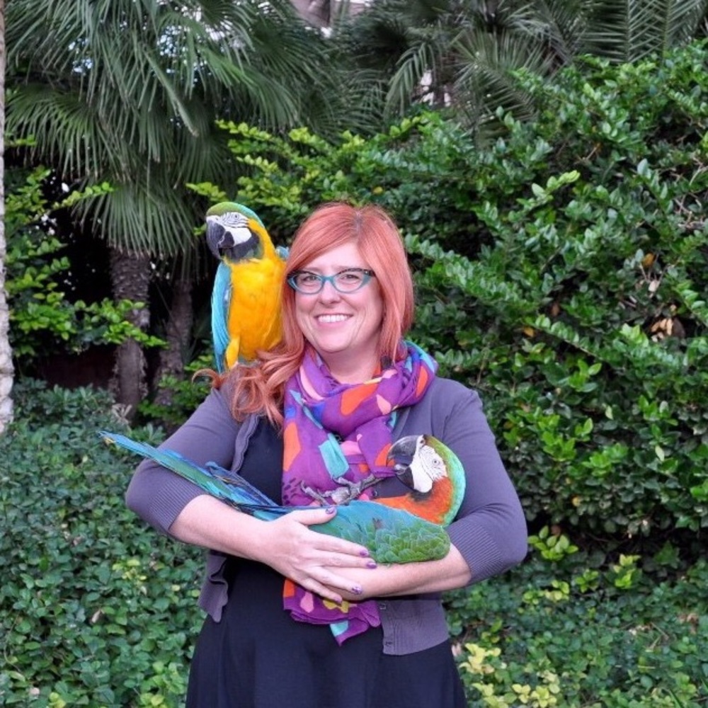 Meet your Posher, Dollie